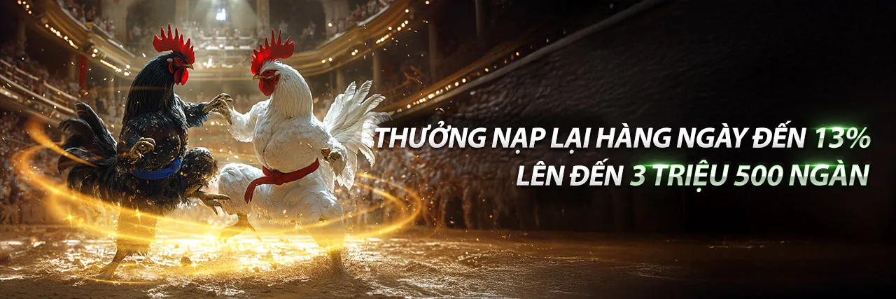 Đá Gà Trực Tiếp 8/9 tại Saowin
